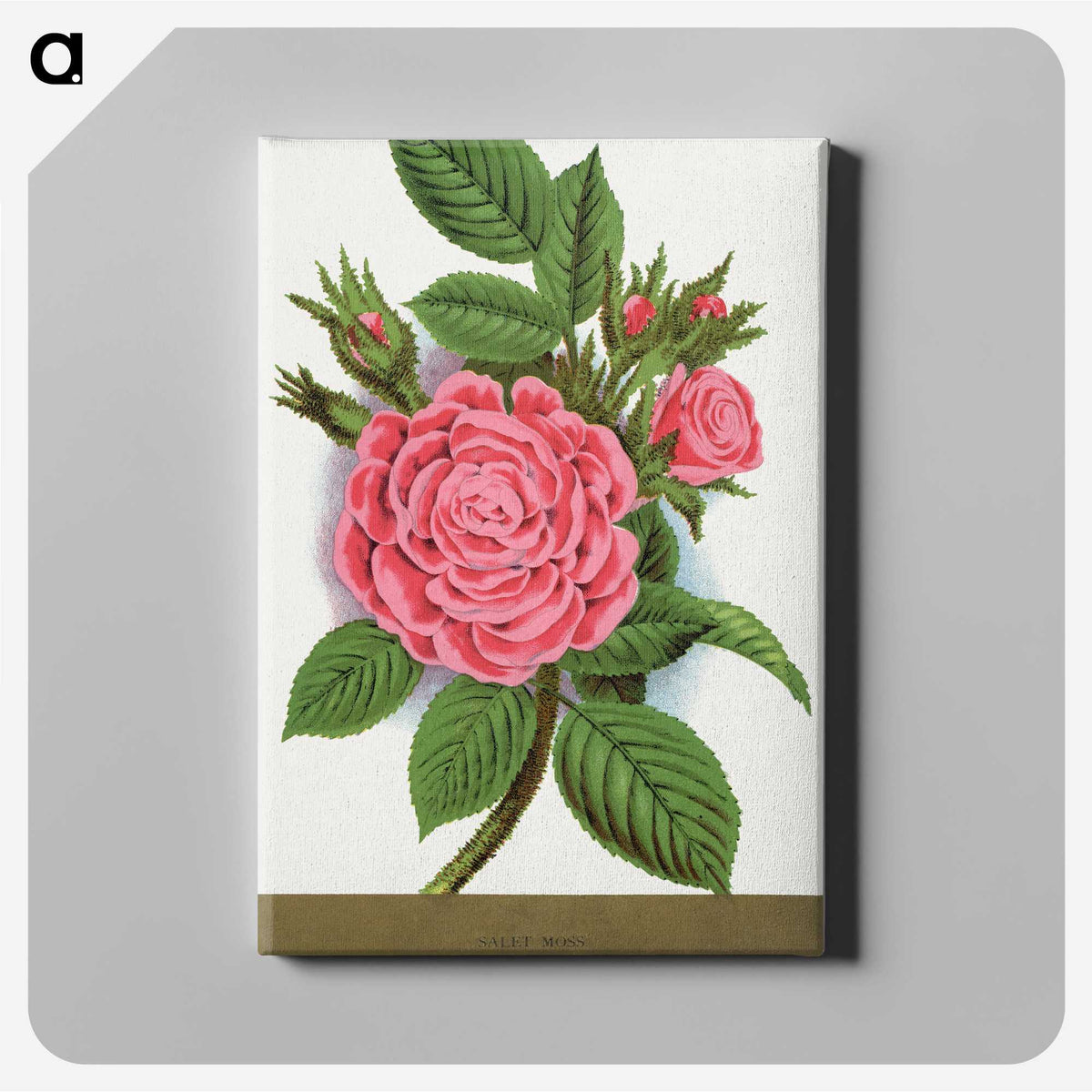 1-62_Botanical-Specimen-Plates_canvas