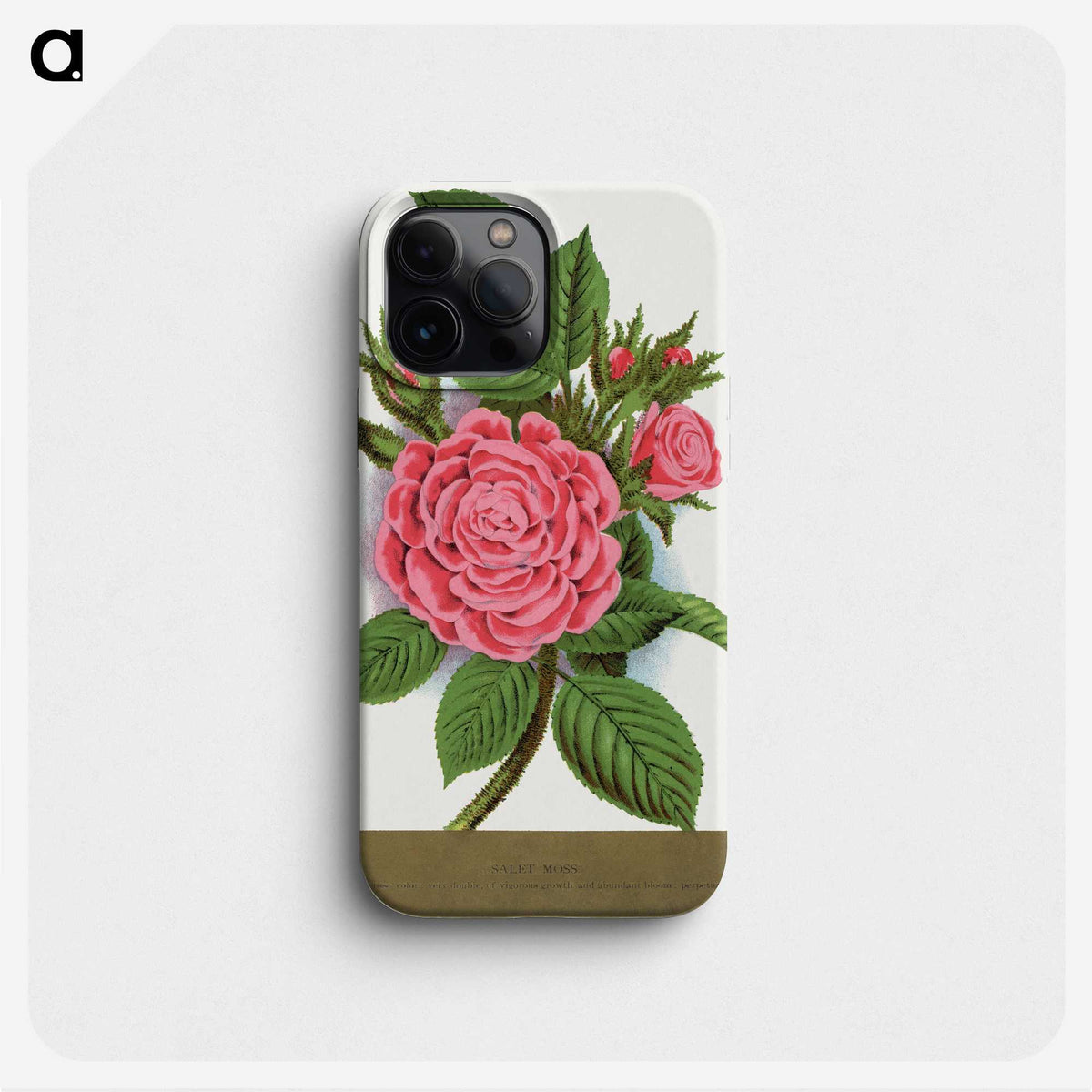 1-62_Botanical-Specimen-Plates_phone