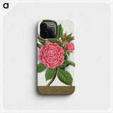 1-62_Botanical-Specimen-Plates_phone