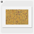 1-62_British-Library_picture