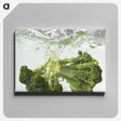 1-62_COVID-19_canvas