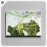 1-62_COVID-19_canvas
