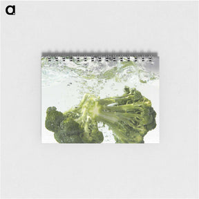 1-62_COVID-19_memo