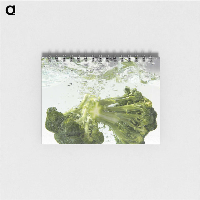 1-62_COVID-19_memo