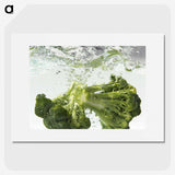 1-62_COVID-19_picture