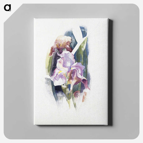 1-62_Charles-Demuth_canvas