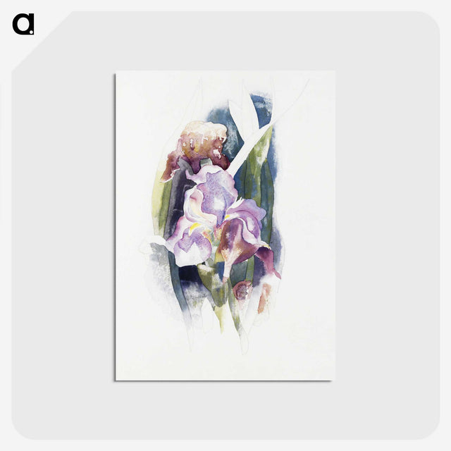 1-62_Charles-Demuth_postcard