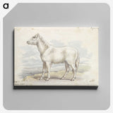 1-62_Charles-Hamilton-Smith_canvas