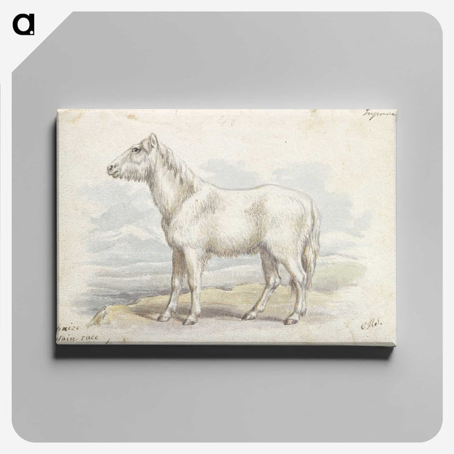 1-62_Charles-Hamilton-Smith_canvas