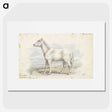 1-62_Charles-Hamilton-Smith_picture