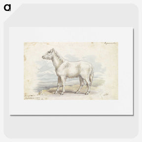 1-62_Charles-Hamilton-Smith_picture