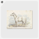 1-62_Charles-Hamilton-Smith_postcard