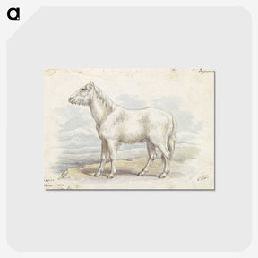 1-62_Charles-Hamilton-Smith_postcard