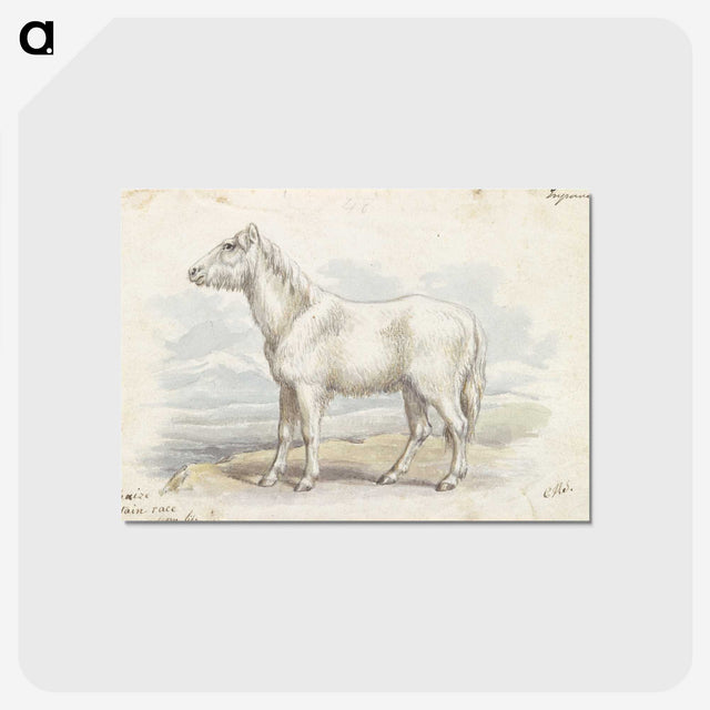 1-62_Charles-Hamilton-Smith_postcard