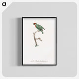 1-62_Des-Oiseaux-de-Paradis_blk-crop