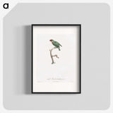 1-62_Des-Oiseaux-de-Paradis_blk