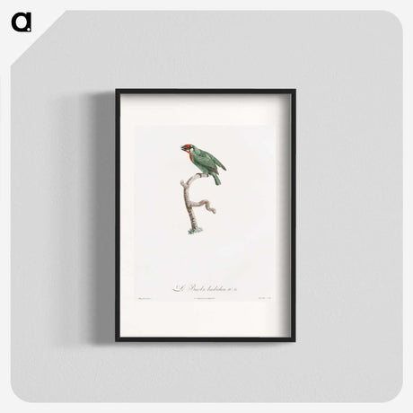 1-62_Des-Oiseaux-de-Paradis_blk