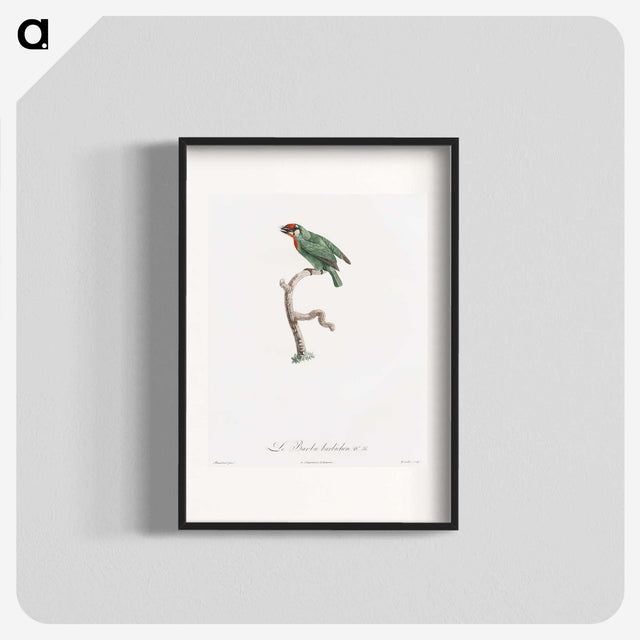 1-62_Des-Oiseaux-de-Paradis_blk