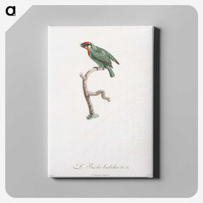 1-62_Des-Oiseaux-de-Paradis_canvas