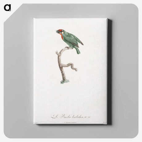 1-62_Des-Oiseaux-de-Paradis_canvas