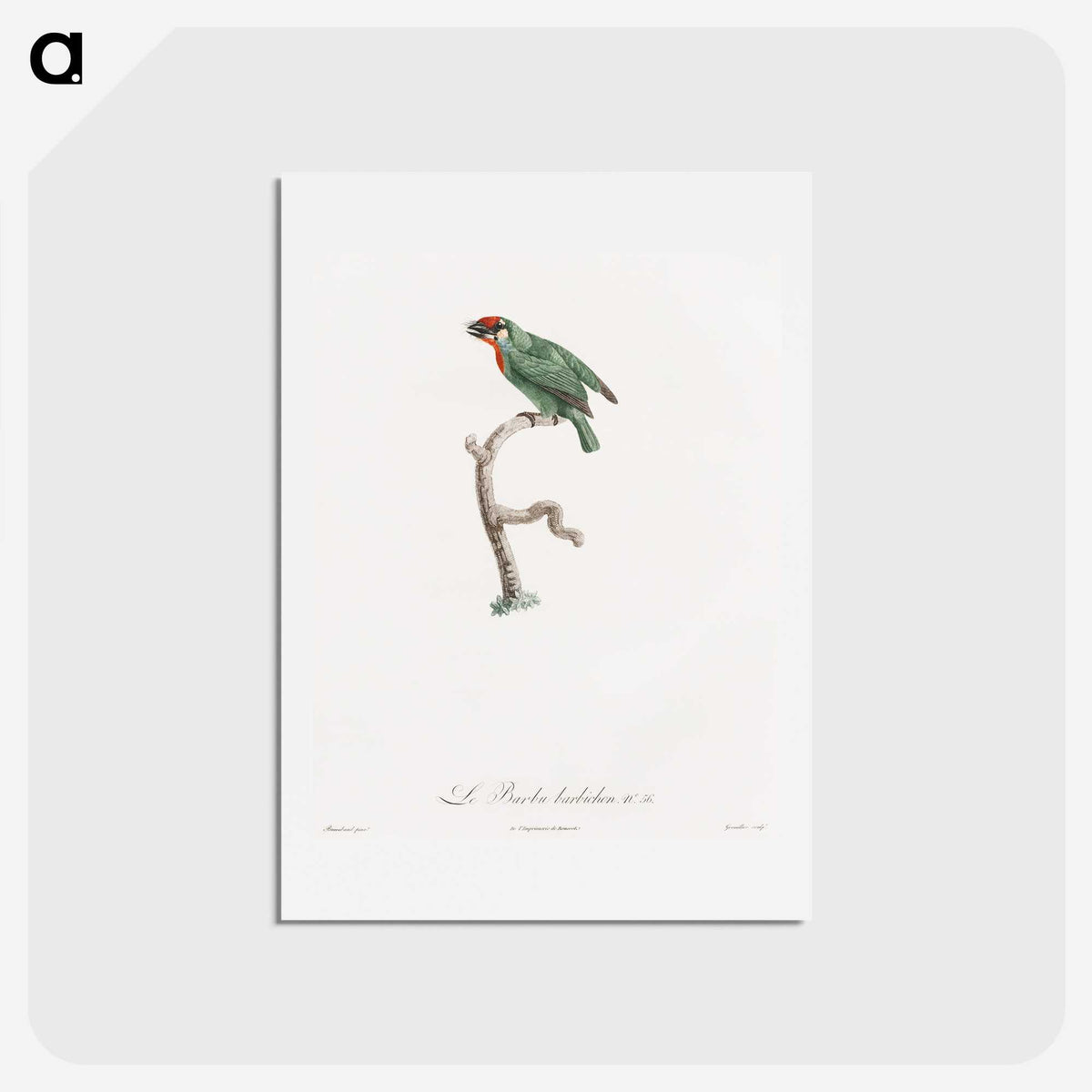 1-62_Des-Oiseaux-de-Paradis_hagaki