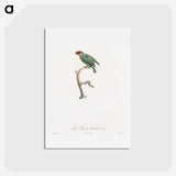 1-62_Des-Oiseaux-de-Paradis_hagaki