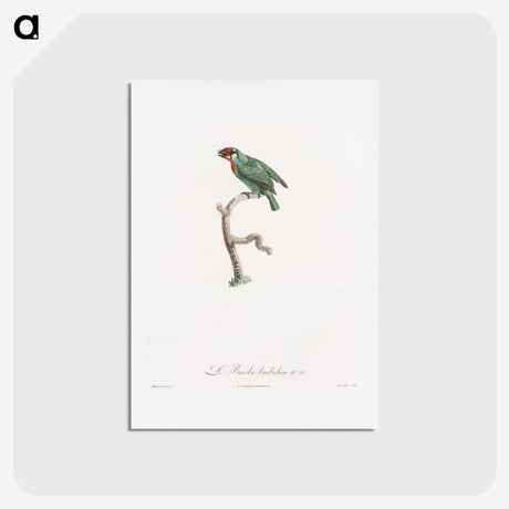 1-62_Des-Oiseaux-de-Paradis_hagaki