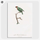 1-62_Des-Oiseaux-de-Paradis_picture-crop