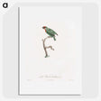 1-62_Des-Oiseaux-de-Paradis_picture