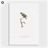 1-62_Des-Oiseaux-de-Paradis_picture