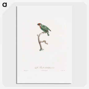 1-62_Des-Oiseaux-de-Paradis_picture