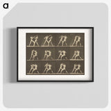 1-62_Eadweard-Muybridge_blk