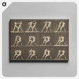 1-62_Eadweard-Muybridge_canvas