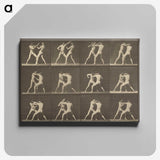 1-62_Eadweard-Muybridge_canvas