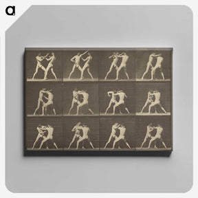 1-62_Eadweard-Muybridge_canvas
