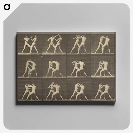 1-62_Eadweard-Muybridge_canvas