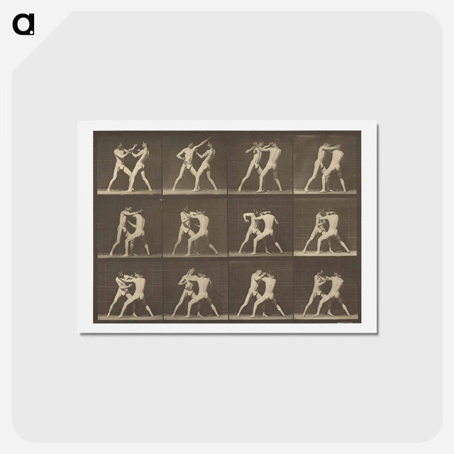 アートポストカード-Animal Locomotion
 - エドワード マイブリッジ Postcard.