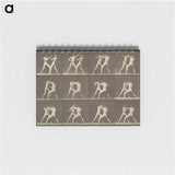 1-62_Eadweard-Muybridge_memo