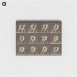 アートメモ帳-Animal Locomotion
 - エドワード マイブリッジ Memo.