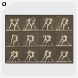 1-62_Eadweard-Muybridge_picture-crop