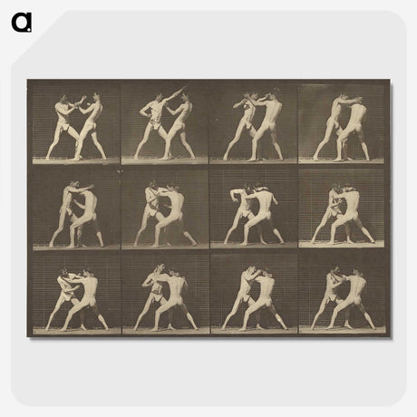 1-62_Eadweard-Muybridge_picture-crop