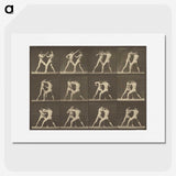 1-62_Eadweard-Muybridge_picture