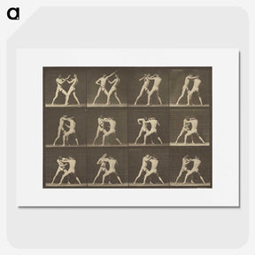 1-62_Eadweard-Muybridge_picture
