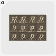 1-62_Eadweard-Muybridge_postcard