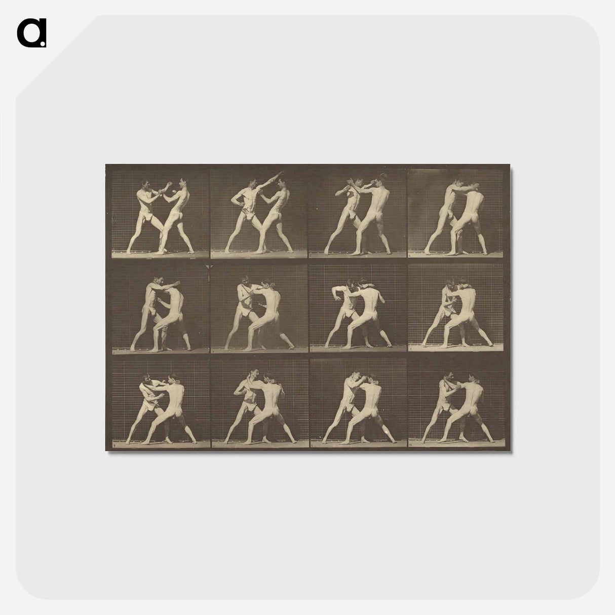 アートポストカード-Animal Locomotion
 - エドワード マイブリッジ Postcard.