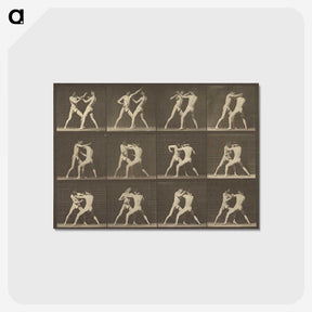 1-62_Eadweard-Muybridge_postcard