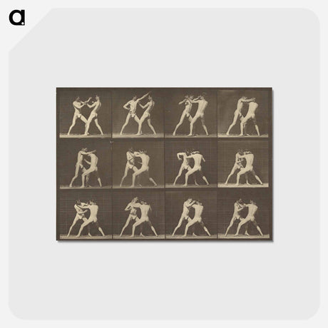 アートポストカード-Animal Locomotion
 - エドワード マイブリッジ Postcard.