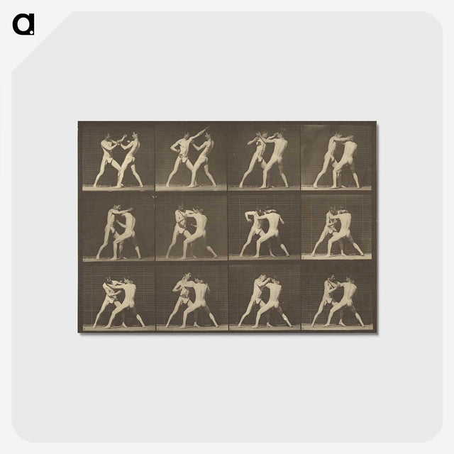 1-62_Eadweard-Muybridge_postcard