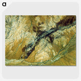 1-62_Earth-from-Above_picture-crop