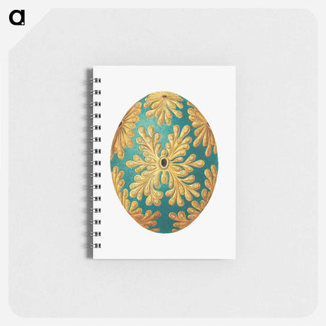 アートメモ帳-Colorful vintage tunicate illustration - エルンスト ヘッケル Memo.